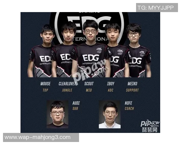 青年赛中WE战队节奏表现分析与点评探讨实时新闻