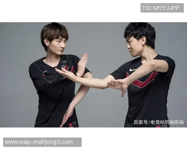 深入探讨王者荣耀FPX战队的意识与团队协作对胜利的影响